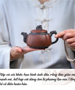 Ấm Tử Sa Long Tôn Tứ Phương (2)