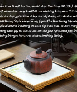 Ấm Tử Sa Long Tôn Tứ Phương (5)
