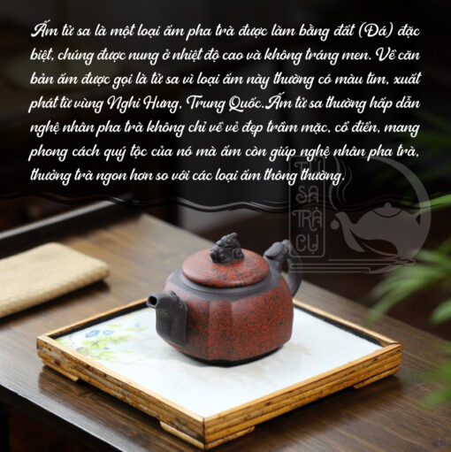 Ấm Tử Sa Long Tôn Tứ Phương (5)