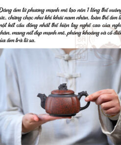 Ấm Tử Sa Long Tôn Tứ Phương (6)