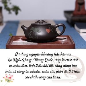 Đặc điểm ấm trà