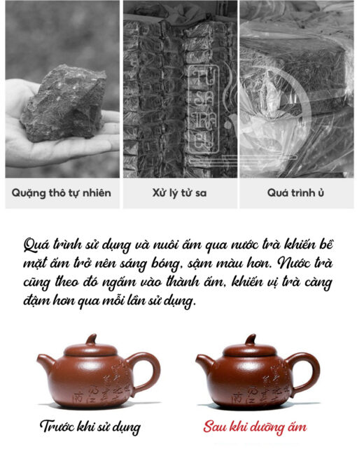 Ấm Tử Sa Cà đoạn Đáy Tào Thanh (6)