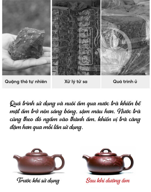 Ấm Tử Sa Hán Hương Đáy Tào Thanh (8)