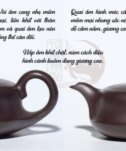 Ấm Tử Sa Thuận Buồm Xuôi Gió Bách Mục (7)