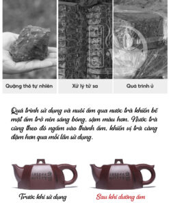 Ấm Tử Sa Tịnh Lan Lục Phương Tử Gia Nê Cao Cấp (5)