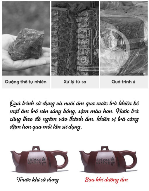 Ấm Tử Sa Tịnh Lan Lục Phương Tử Gia Nê Cao Cấp (5)
