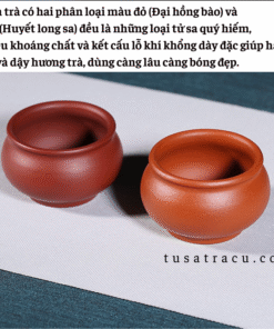 Chén Trà Tử Sa Đại Hồng Bào Cao Cấp 70ml (8)