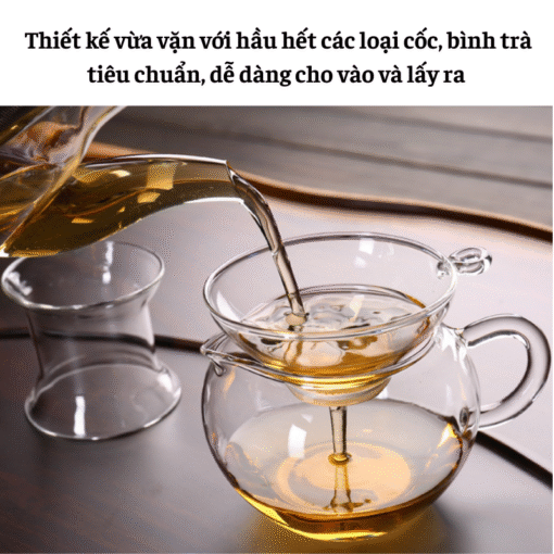 Lọc Trà Thủy Tinh (5)