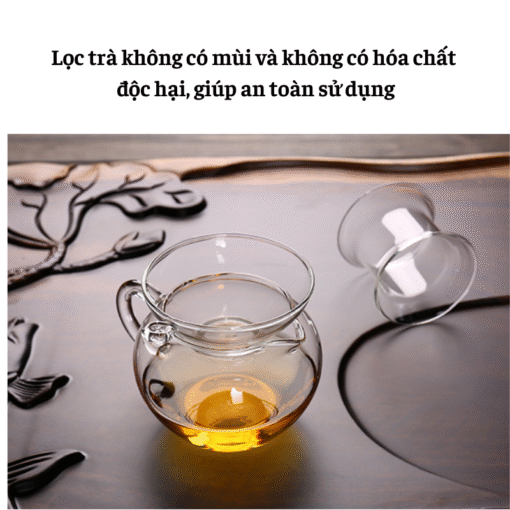 Lọc Trà Thủy Tinh (7)