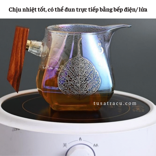 Tống Chuyên Trà Thủy Tinh Chịu Nhiệt Có Tay Cầm Gỗ Cao Cấp (1)