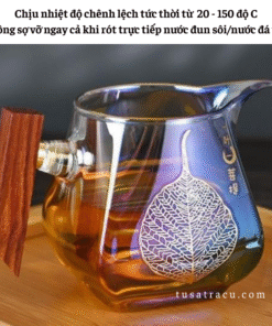Tống Chuyên Trà Thủy Tinh Chịu Nhiệt Có Tay Cầm Gỗ Cao Cấp (8)