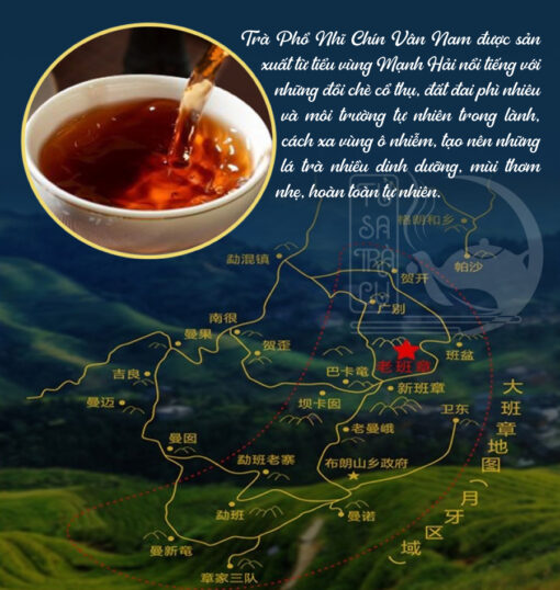 Trà Phổ Nhĩ Chín Vân Nam Bát Niên Trần Vân 357g (6)