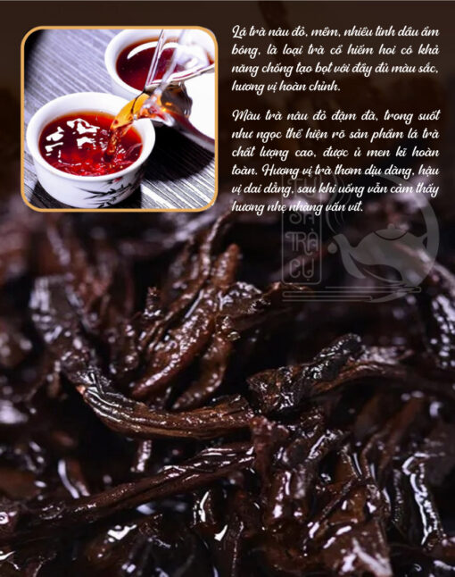 Trà Phổ Nhĩ Chín Vân Nam Bát Niên Trần Vân 357g (9)